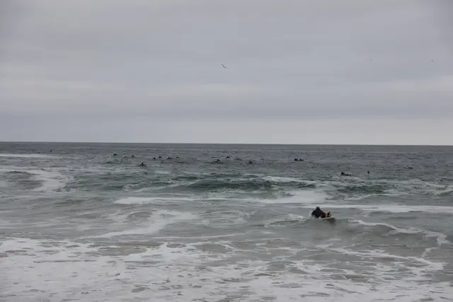 Paddle Laguna Beach 2025, race photo