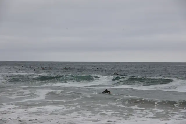 Paddle Laguna Beach 2025, race photo