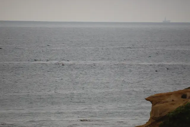 Paddle Laguna Beach 2025, race photo