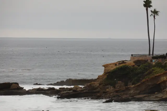 Paddle Laguna Beach 2025, race photo