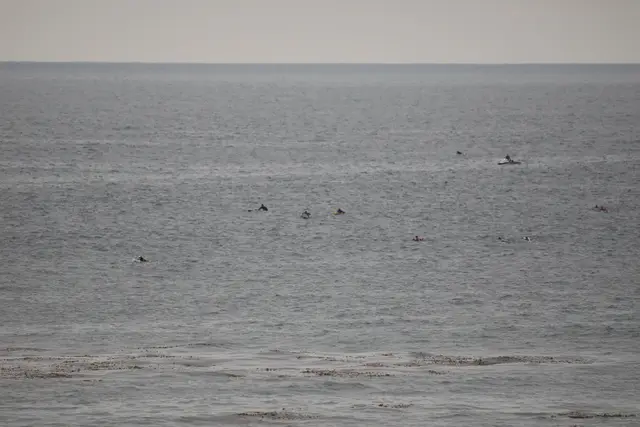 Paddle Laguna Beach 2025, race photo