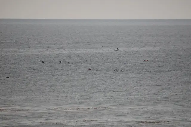 Paddle Laguna Beach 2025, race photo