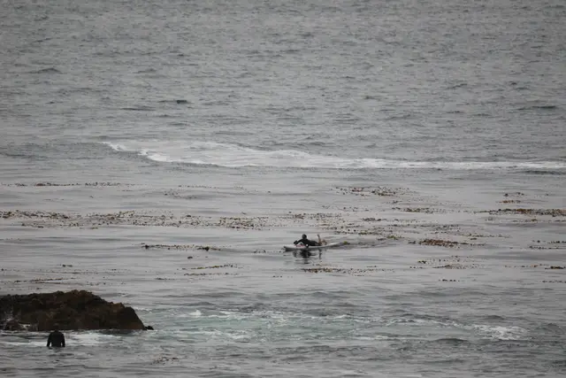 Paddle Laguna Beach 2025, race photo