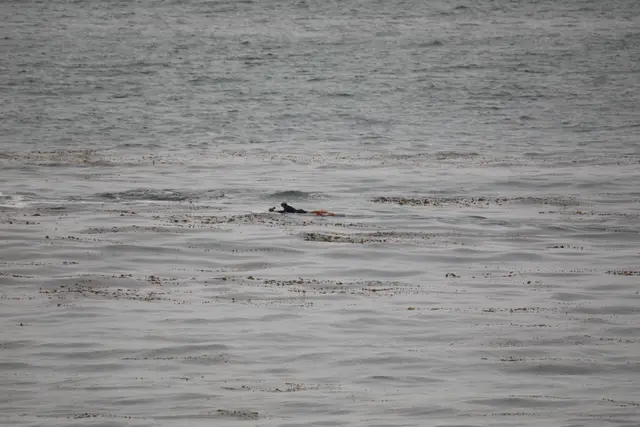 Paddle Laguna Beach 2025, race photo