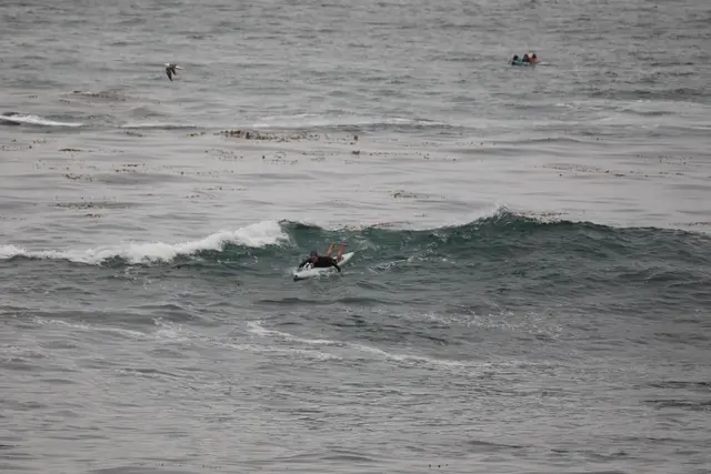 Paddle Laguna Beach 2025, race photo