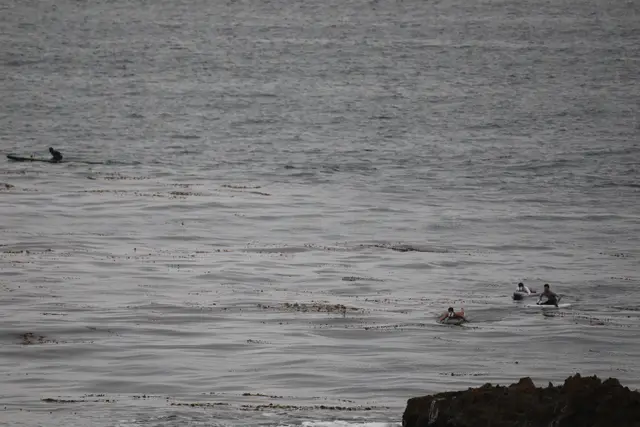 Paddle Laguna Beach 2025, race photo