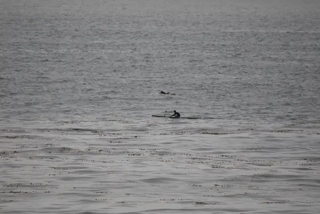 Paddle Laguna Beach 2025, race photo
