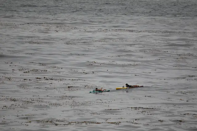 Paddle Laguna Beach 2025, race photo