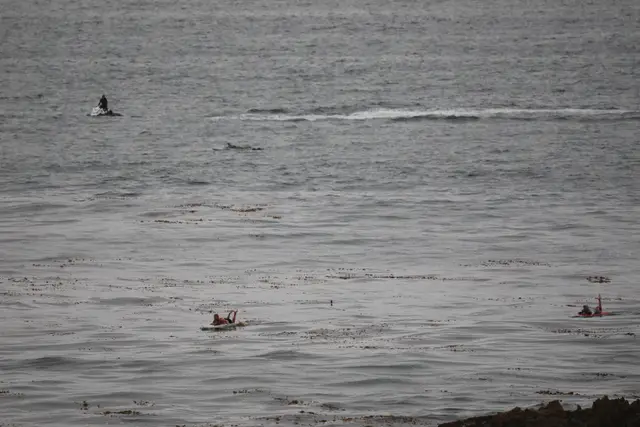 Paddle Laguna Beach 2025, race photo
