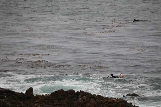 Paddle Laguna Beach 2025, race photo