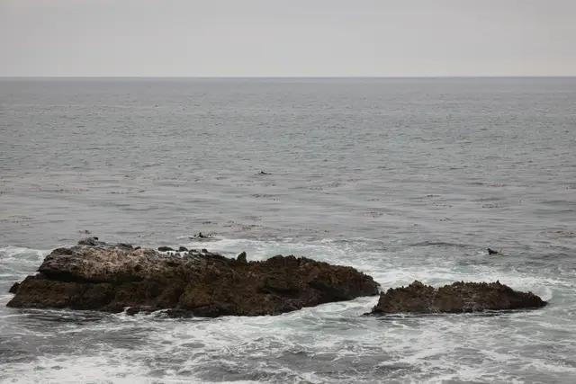 Paddle Laguna Beach 2025, race photo