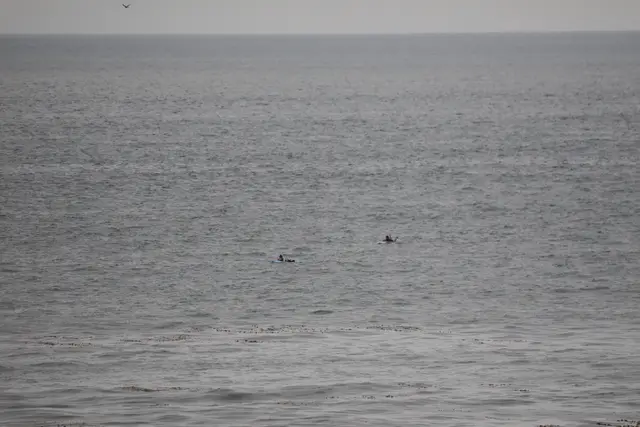 Paddle Laguna Beach 2025, race photo