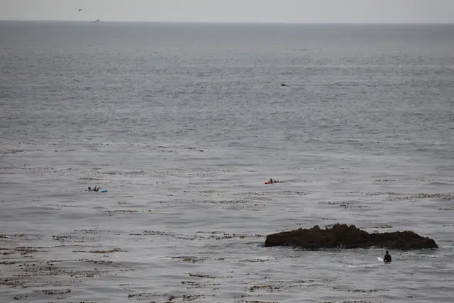 Paddle Laguna Beach 2025, race photo