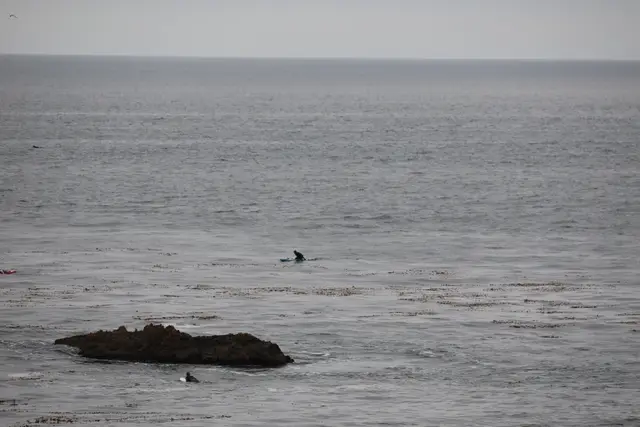Paddle Laguna Beach 2025, race photo