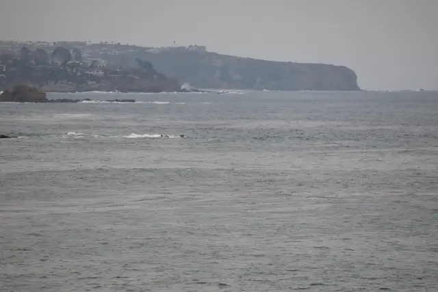 Paddle Laguna Beach 2025, race photo