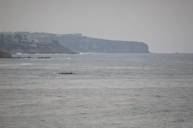 Paddle Laguna Beach 2025, race photo