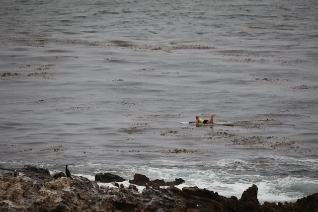 Paddle Laguna Beach 2025, race photo