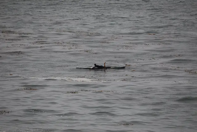 Paddle Laguna Beach 2025, race photo