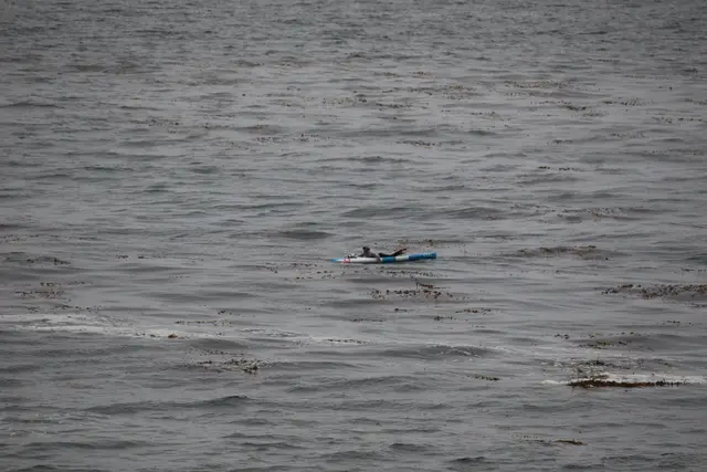 Paddle Laguna Beach 2025, race photo