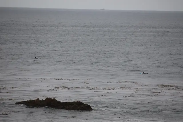 Paddle Laguna Beach 2025, race photo