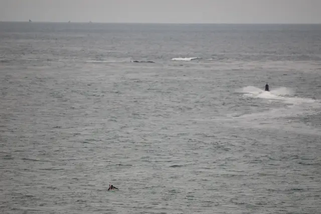 Paddle Laguna Beach 2025, race photo