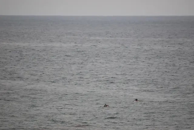 Paddle Laguna Beach 2025, race photo