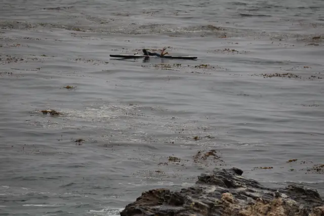 Paddle Laguna Beach 2025, race photo
