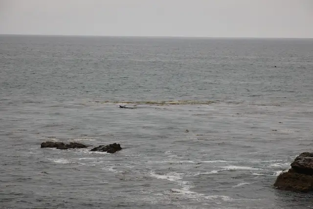 Paddle Laguna Beach 2025, race photo