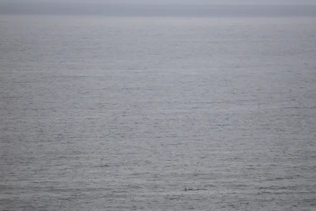 Paddle Laguna Beach 2025, race photo