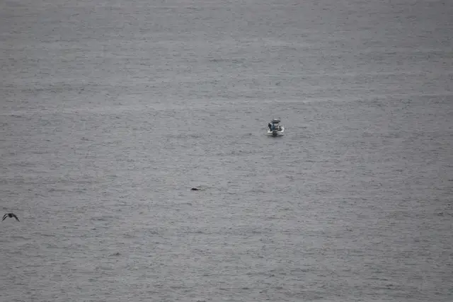 Paddle Laguna Beach 2025, race photo