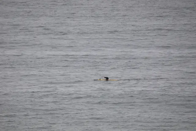 Paddle Laguna Beach 2025, race photo