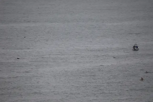 Paddle Laguna Beach 2025, race photo