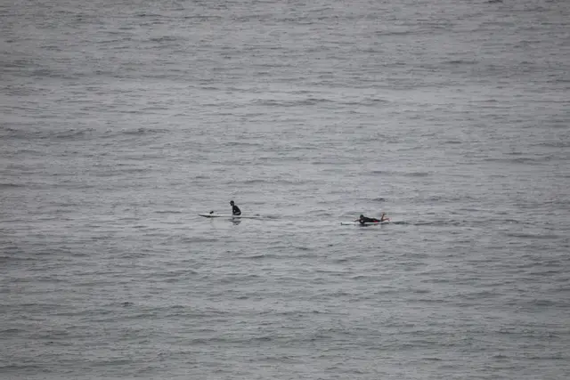 Paddle Laguna Beach 2025, race photo