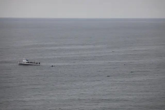 Paddle Laguna Beach 2025, race photo