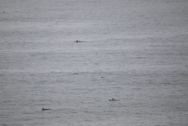 Paddle Laguna Beach 2025, race photo