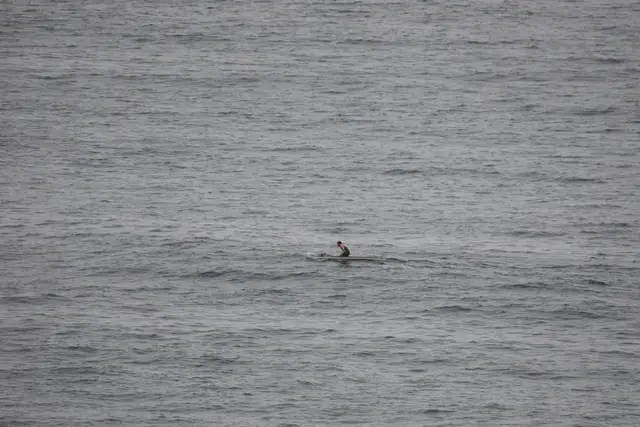 Paddle Laguna Beach 2025, race photo