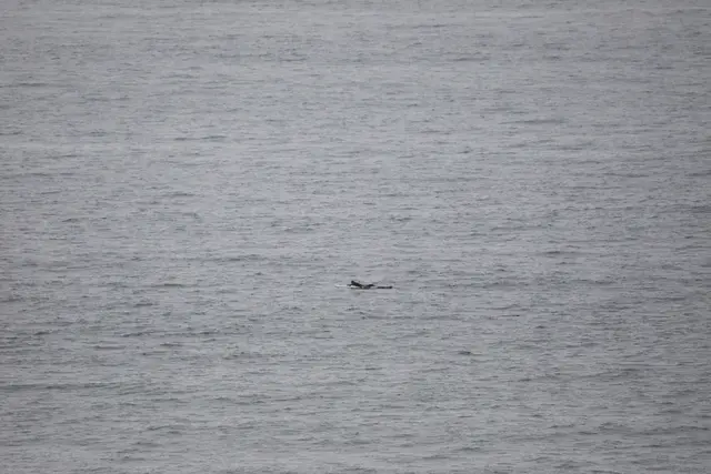 Paddle Laguna Beach 2025, race photo
