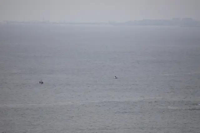 Paddle Laguna Beach 2025, race photo