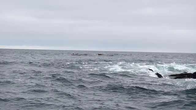 Paddle Laguna Beach 2025, race photo