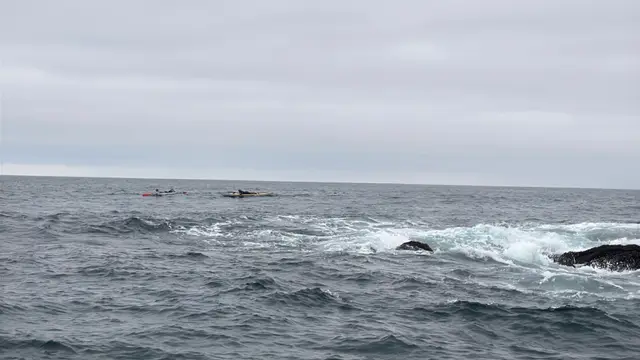 Paddle Laguna Beach 2025, race photo