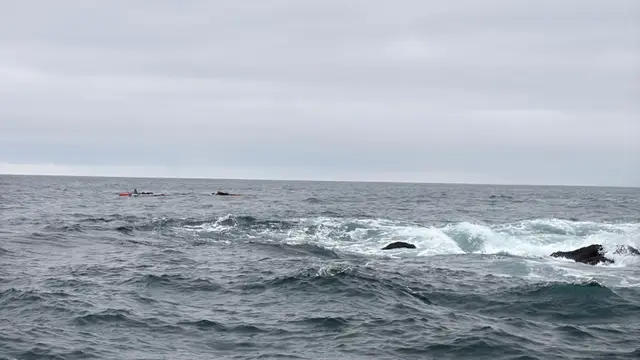 Paddle Laguna Beach 2025, race photo