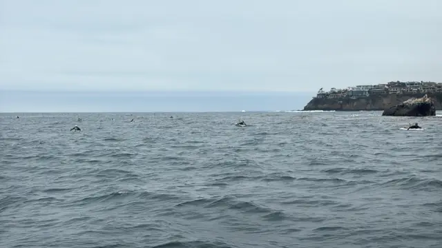 Paddle Laguna Beach 2025, race photo